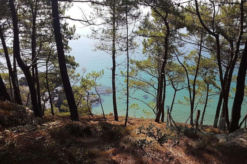 Chez Nany, Chaleureux Duplex Sur Le Port De Morgat Lägenhet Crozon Exteriör bild